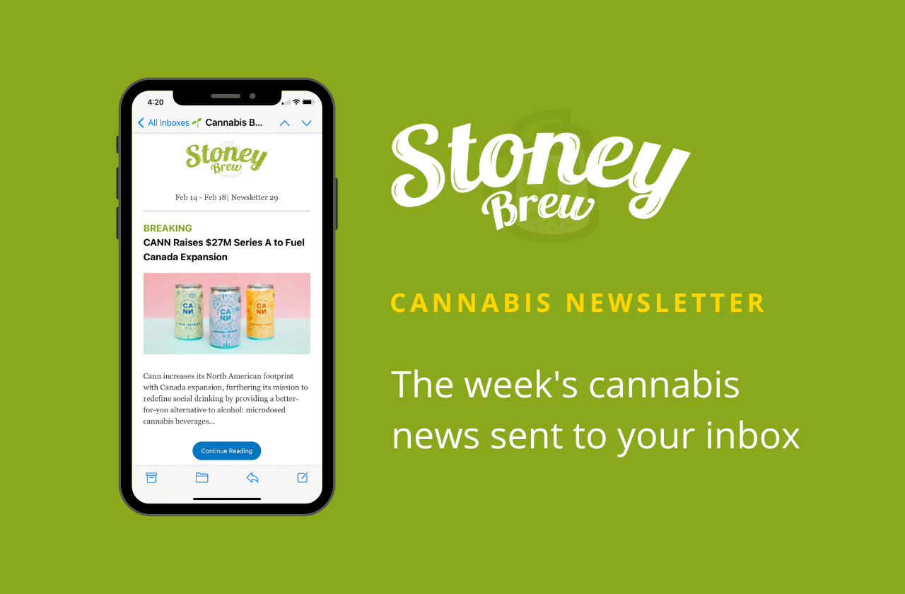 stoney brew newsletter